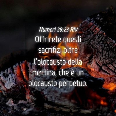 Picture 04 - Numeri 28:23 RIV - Offrirete questi sacrifizi oltre l’olocausto - Bible Verse Picture
