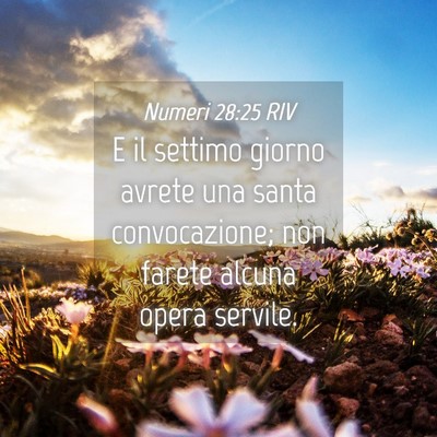 Picture 04 - Numeri 28:25 RIV - E il settimo giorno avrete una santa - Bible Verse Picture