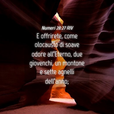 Picture 04 - Numeri 28:27 RIV - E offrirete, come olocausto di soave odore - Bible Verse Picture