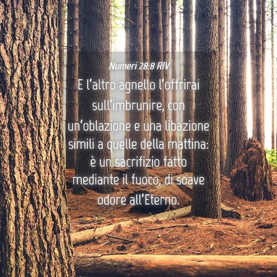 Picture 04 - Numeri 28:8 RIV - E l’altro agnello l’offrirai - Bible Verse Picture