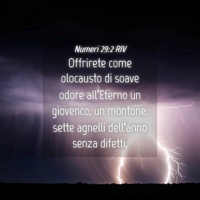 Picture 04 - Numeri 29:2 RIV - Offrirete come olocausto di soave odore - Bible Verse Picture