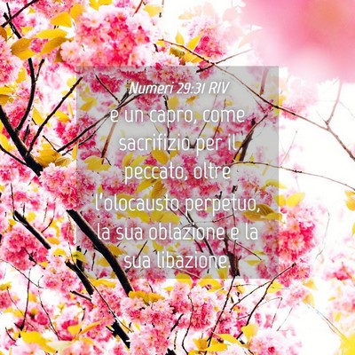 Picture 04 - Numeri 29:31 RIV - e un capro, come sacrifizio per il peccato, oltre - Bible Verse Picture