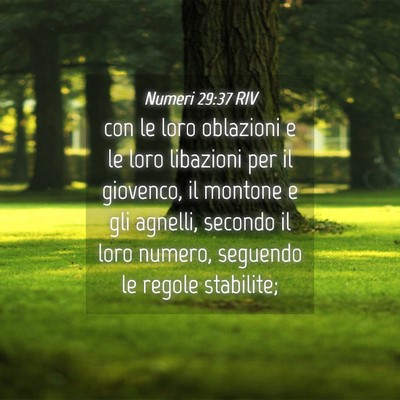 Picture 04 - Numeri 29:37 RIV - con le loro oblazioni e le loro libazioni per il - Bible Verse Picture