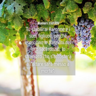 Picture 04 - Numeri 3:10 RIV - Tu stabilirai Aaronne e i suoi figliuoli, perché - Bible Verse Picture