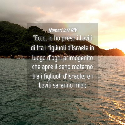 Picture 04 - Numeri 3:12 RIV - “Ecco, io ho preso i Leviti di tra i figliuoli - Bible Verse Picture