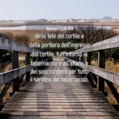 Picture 04 - Numeri 3:26 RIV - delle tele del cortile e della portiera - Bible Verse Picture