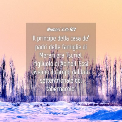 Picture 04 - Numeri 3:35 RIV - Il principe della casa de’ padri delle famiglie - Bible Verse Picture