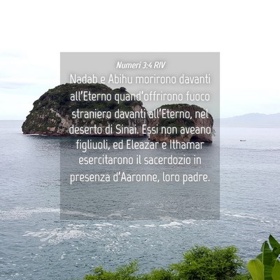 Picture 04 - Numeri 3:4 RIV - Nadab e Abihu morirono davanti all’Eterno - Bible Verse Picture