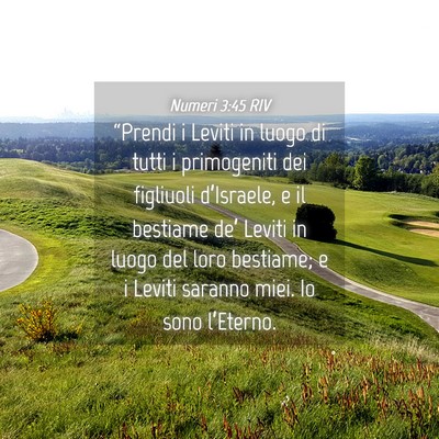 Picture 04 - Numeri 3:45 RIV - “Prendi i Leviti in luogo di tutti i - Bible Verse Picture