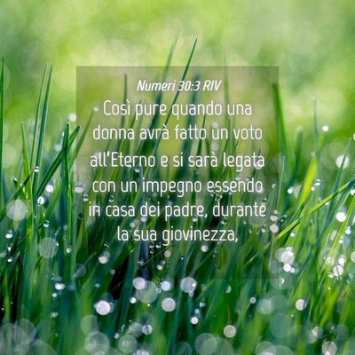 Picture 04 - Numeri 30:3 RIV - Così pure quando una donna avrà fatto un voto - Bible Verse Picture