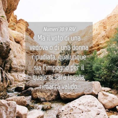 Picture 04 - Numeri 30:9 RIV - Ma il voto di una vedova o di una donna - Bible Verse Picture