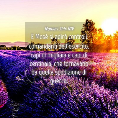 Picture 04 - Numeri 31:14 RIV - E Mosè si adirò contro i comandanti - Bible Verse Picture