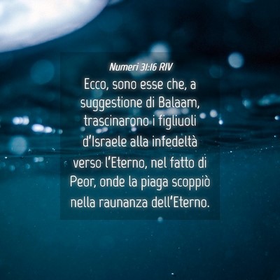 Picture 04 - Numeri 31:16 RIV - Ecco, sono esse che, a suggestione di Balaam, - Bible Verse Picture