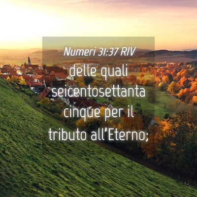 Picture 04 - Numeri 31:37 RIV - delle quali seicentosettanta cinque per il - Bible Verse Picture