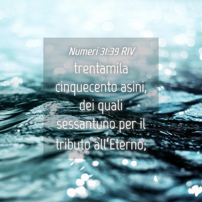 Picture 04 - Numeri 31:39 RIV - trentamila cinquecento asini, dei quali - Bible Verse Picture