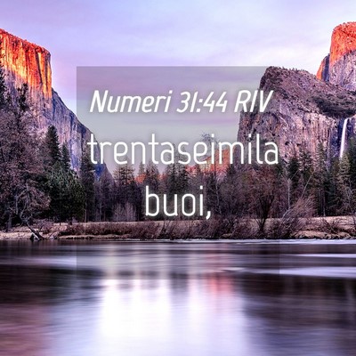 Picture 04 - Numeri 31:44 RIV - trentaseimila - Bible Verse Picture