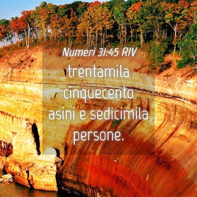 Picture 04 - Numeri 31:45 RIV - trentamila cinquecento asini e sedicimila - Bible Verse Picture