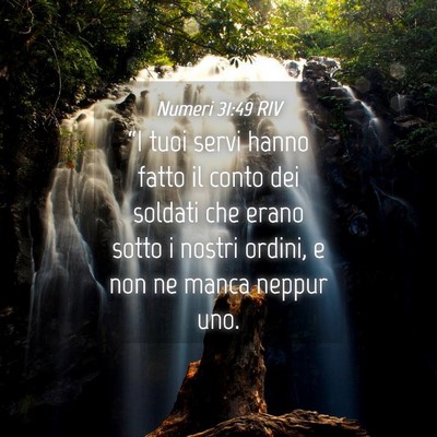Picture 04 - Numeri 31:49 RIV - “I tuoi servi hanno fatto il conto dei soldati - Bible Verse Picture