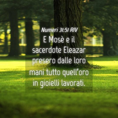 Picture 04 - Numeri 31:51 RIV - E Mosè e il sacerdote Eleazar presero dalle loro - Bible Verse Picture