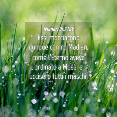 Picture 04 - Numeri 31:7 RIV - Essi marciarono dunque contro Madian, come - Bible Verse Picture