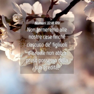 Picture 04 - Numeri 32:18 RIV - Non torneremo alle nostre case finché ciascuno - Bible Verse Picture