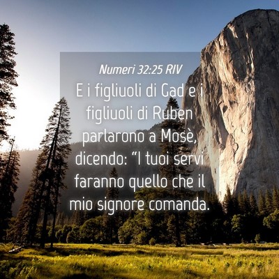 Picture 04 - Numeri 32:25 RIV - E i figliuoli di Gad e i figliuoli di Ruben - Bible Verse Picture