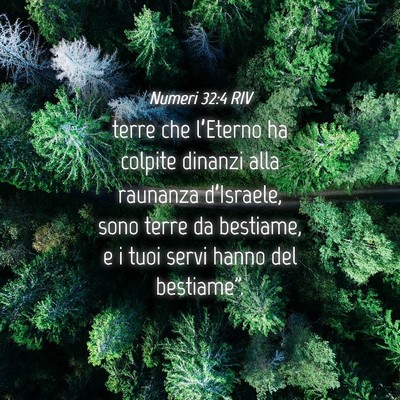 Picture 04 - Numeri 32:4 RIV - terre che l’Eterno ha colpite dinanzi alla - Bible Verse Picture