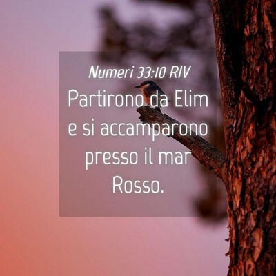 Picture 04 - Numeri 33:10 RIV - Partirono da Elim e si accamparono presso il mar - Bible Verse Picture