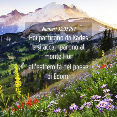 Picture 04 - Numeri 33:37 RIV - Poi partirono da Kades e si accamparono al monte - Bible Verse Picture
