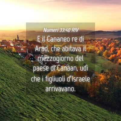 Picture 04 - Numeri 33:40 RIV - E il Cananeo re di Arad, che abitava il - Bible Verse Picture