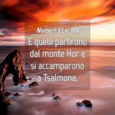 Picture 04 - Numeri 33:41 RIV - E quelli partirono dal monte Hor e si accamparono - Bible Verse Picture