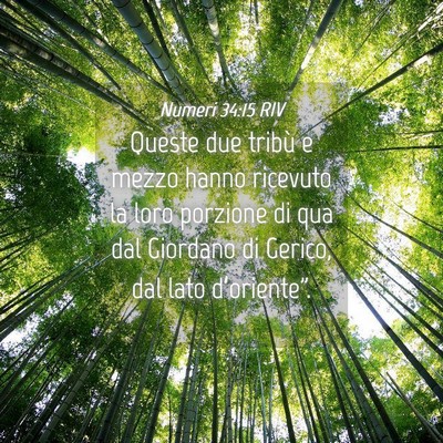 Picture 04 - Numeri 34:15 RIV - Queste due tribù e mezzo hanno ricevuto la loro - Bible Verse Picture