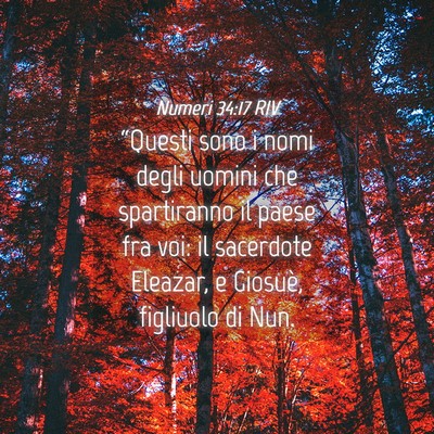 Picture 04 - Numeri 34:17 RIV - “Questi sono i nomi degli uomini che - Bible Verse Picture