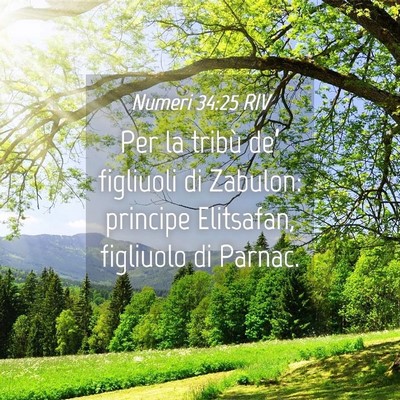 Picture 04 - Numeri 34:25 RIV - Per la tribù de’ figliuoli di Zabulon: - Bible Verse Picture