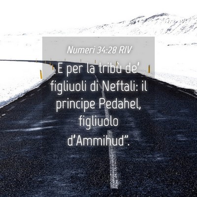 Picture 04 - Numeri 34:28 RIV - E per la tribù de’ figliuoli di Neftali: il - Bible Verse Picture