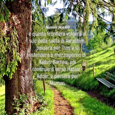 Picture 04 - Numeri 34:4 RIV - e questa frontiera volgerà al sud della salita - Bible Verse Picture