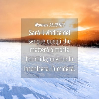 Picture 04 - Numeri 35:19 RIV - Sarà il vindice del sangue quegli che metterà a - Bible Verse Picture
