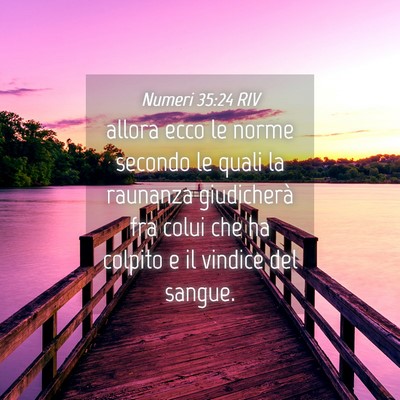 Picture 04 - Numeri 35:24 RIV - allora ecco le norme secondo le quali la raunanza - Bible Verse Picture