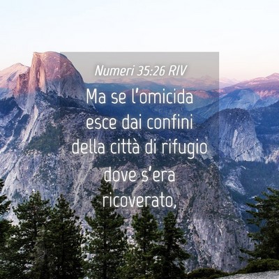 Picture 04 - Numeri 35:26 RIV - Ma se l’omicida esce dai confini della città - Bible Verse Picture