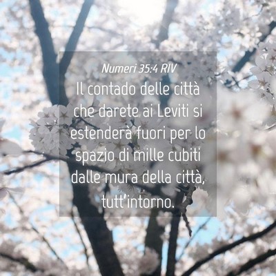 Picture 04 - Numeri 35:4 RIV - Il contado delle città che darete ai Leviti si - Bible Verse Picture