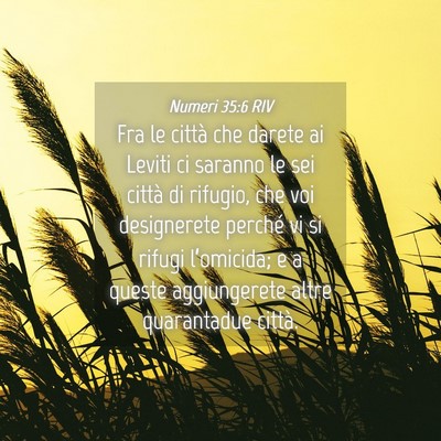 Picture 04 - Numeri 35:6 RIV - Fra le città che darete ai Leviti ci saranno le - Bible Verse Picture