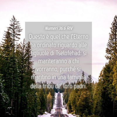 Picture 04 - Numeri 36:6 RIV - Questo è quel che l’Eterno ha ordinato - Bible Verse Picture