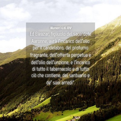 Picture 04 - Numeri 4:16 RIV - Ed Eleazar, figliuolo del sacerdote Aaronne, - Bible Verse Picture