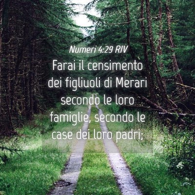 Picture 04 - Numeri 4:29 RIV - Farai il censimento dei figliuoli di Merari - Bible Verse Picture