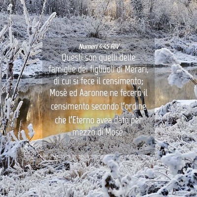 Picture 04 - Numeri 4:45 RIV - Questi son quelli delle famiglie dei figliuoli di - Bible Verse Picture