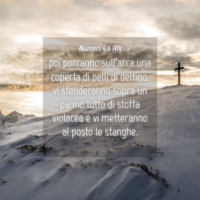 Picture 04 - Numeri 4:6 RIV - poi porranno sull’arca una coperta di pelli di - Bible Verse Picture