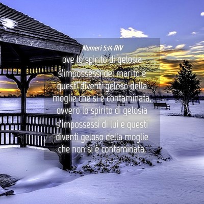 Picture 04 - Numeri 5:14 RIV - ove lo spirito di gelosia s’impossessi del - Bible Verse Picture