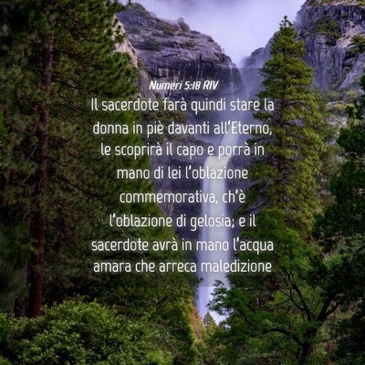 Picture 04 - Numeri 5:18 RIV - Il sacerdote farà quindi stare la donna in piè - Bible Verse Picture