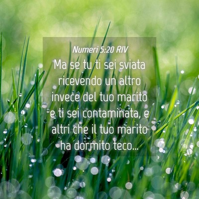 Picture 04 - Numeri 5:20 RIV - Ma se tu ti sei sviata ricevendo un altro invece - Bible Verse Picture