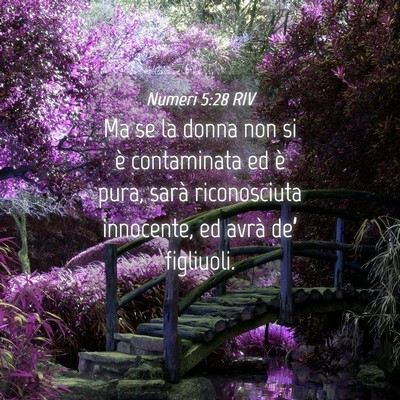Picture 04 - Numeri 5:28 RIV - Ma se la donna non si è contaminata ed è pura, - Bible Verse Picture